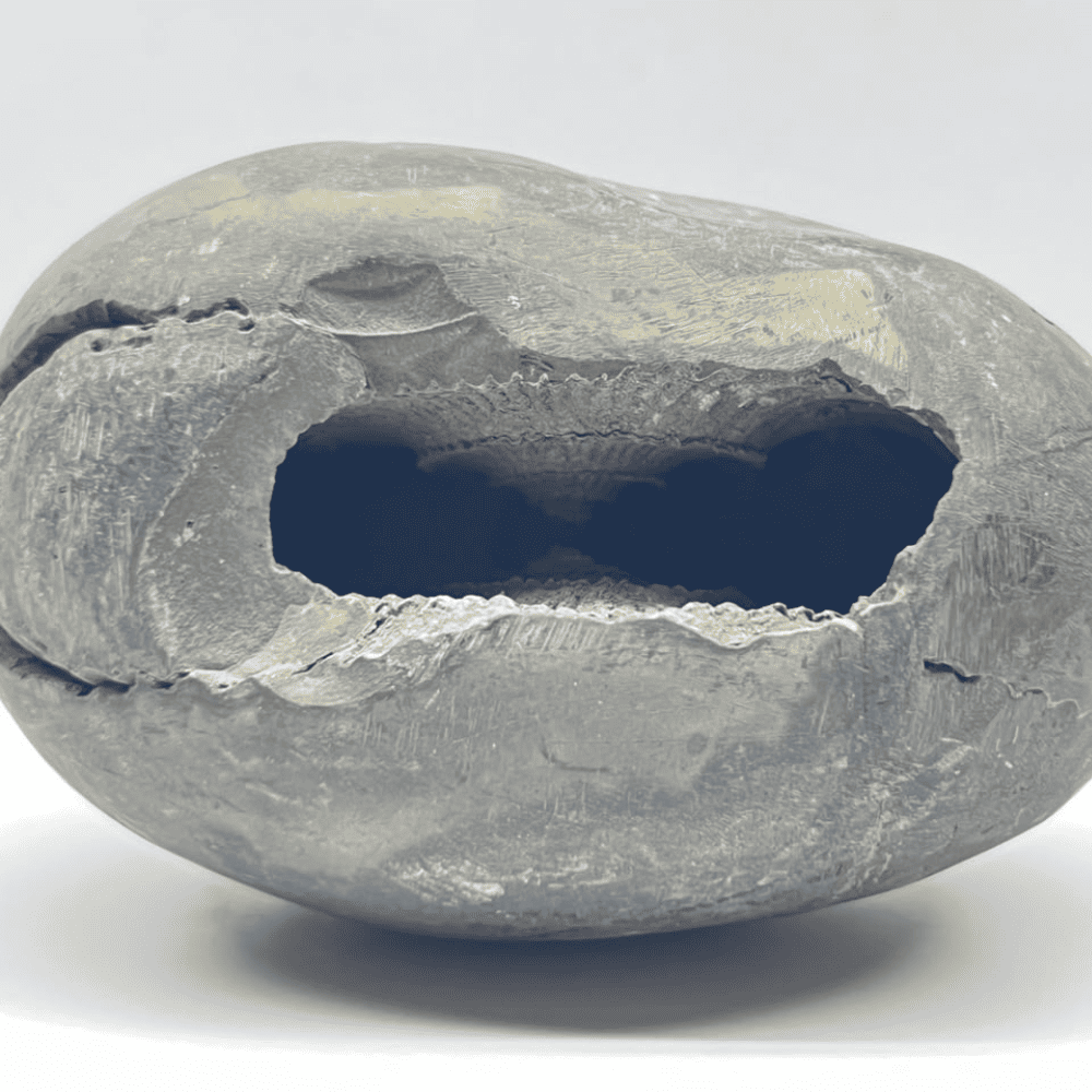 Laxmi Narsimha Shaligram (LN25-3.5INCH/345GM)