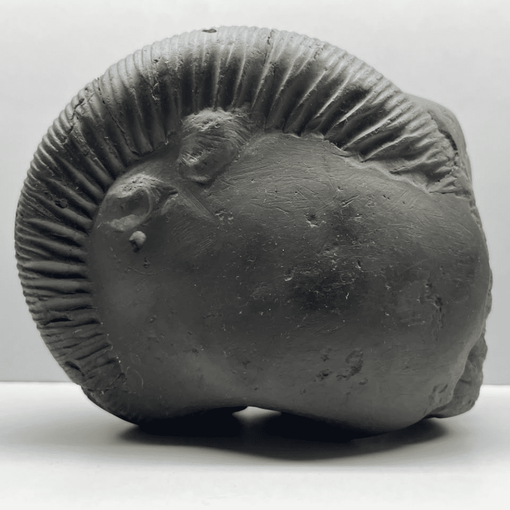 Mahanarsimha Shaligram (7inch/2700gm)