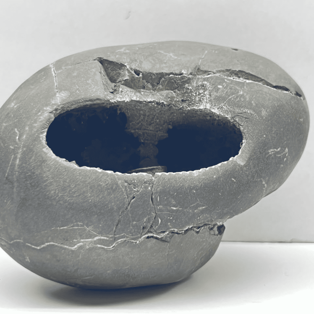 Hrishikesha Shaligram (4.5inch/510gm)
