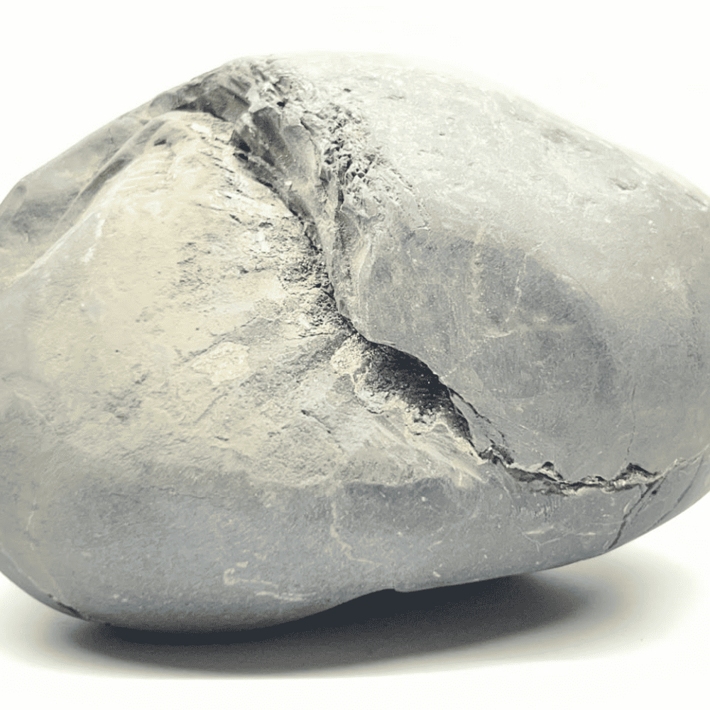 Hrishikesha Shaligram (4.5inch/510gm)
