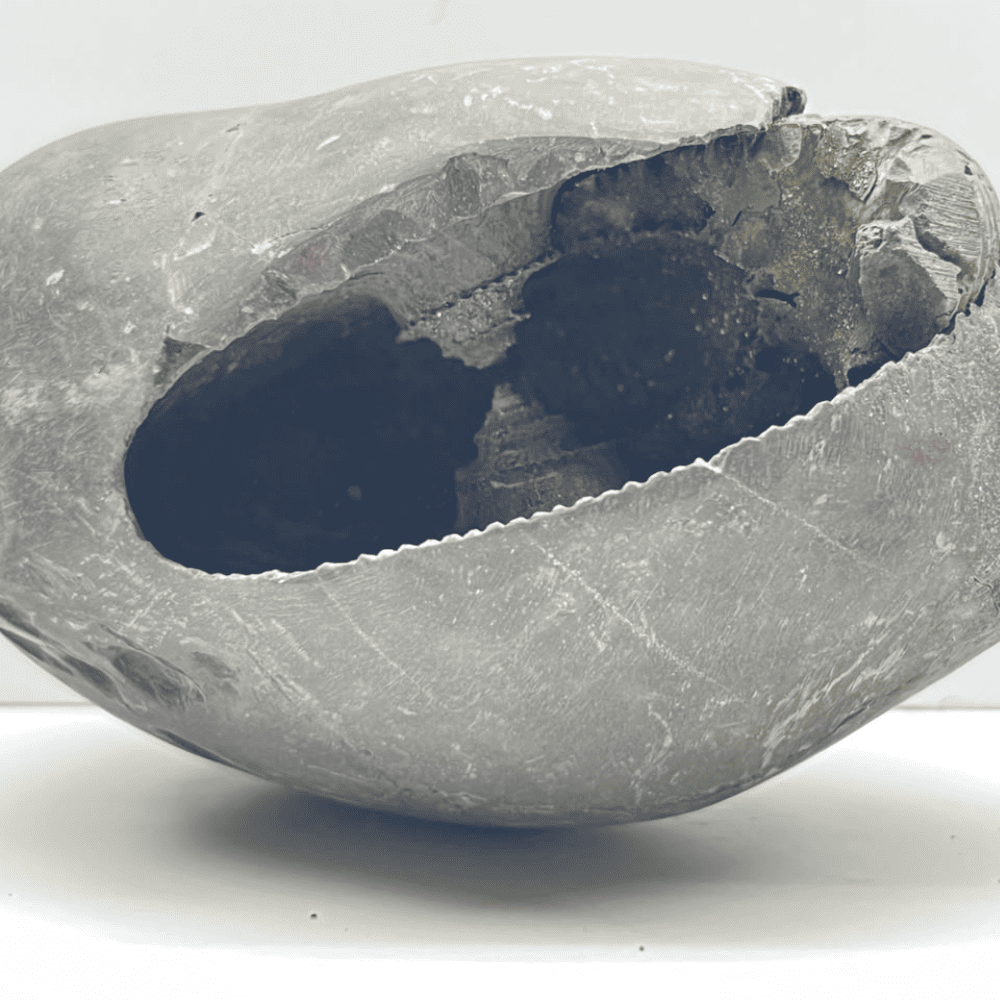 Laxmi Narsimha Shaligram (LN28-5INCH/678GM)