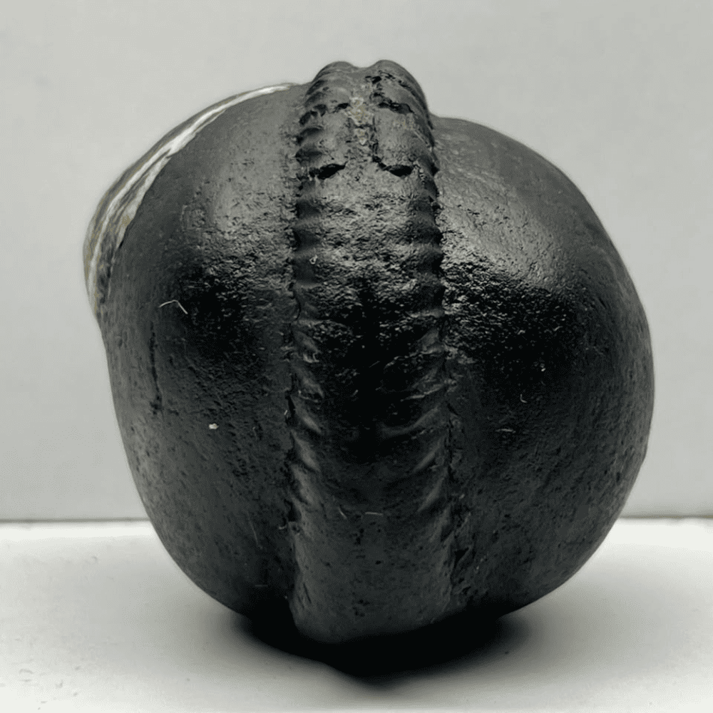 Ganesh Shaligram- G05(2inch/168gm)