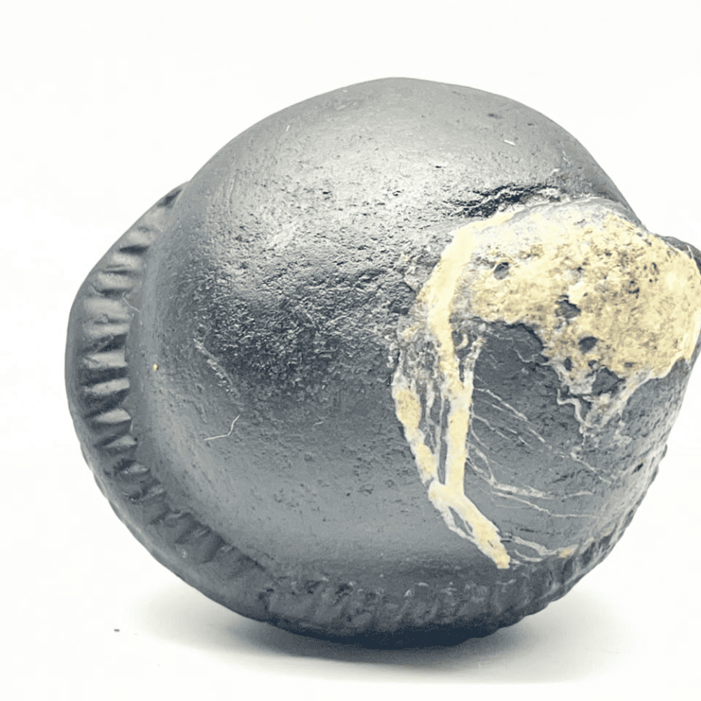 Ganesh Shaligram- G05(2inch/168gm)