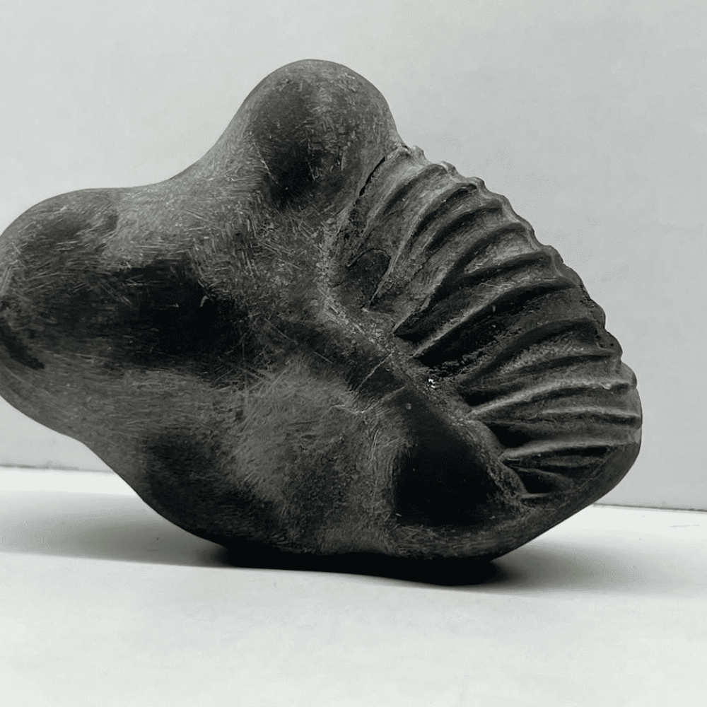 Sheshnaag Garuda Shaligram LN134(3inch/195gm)