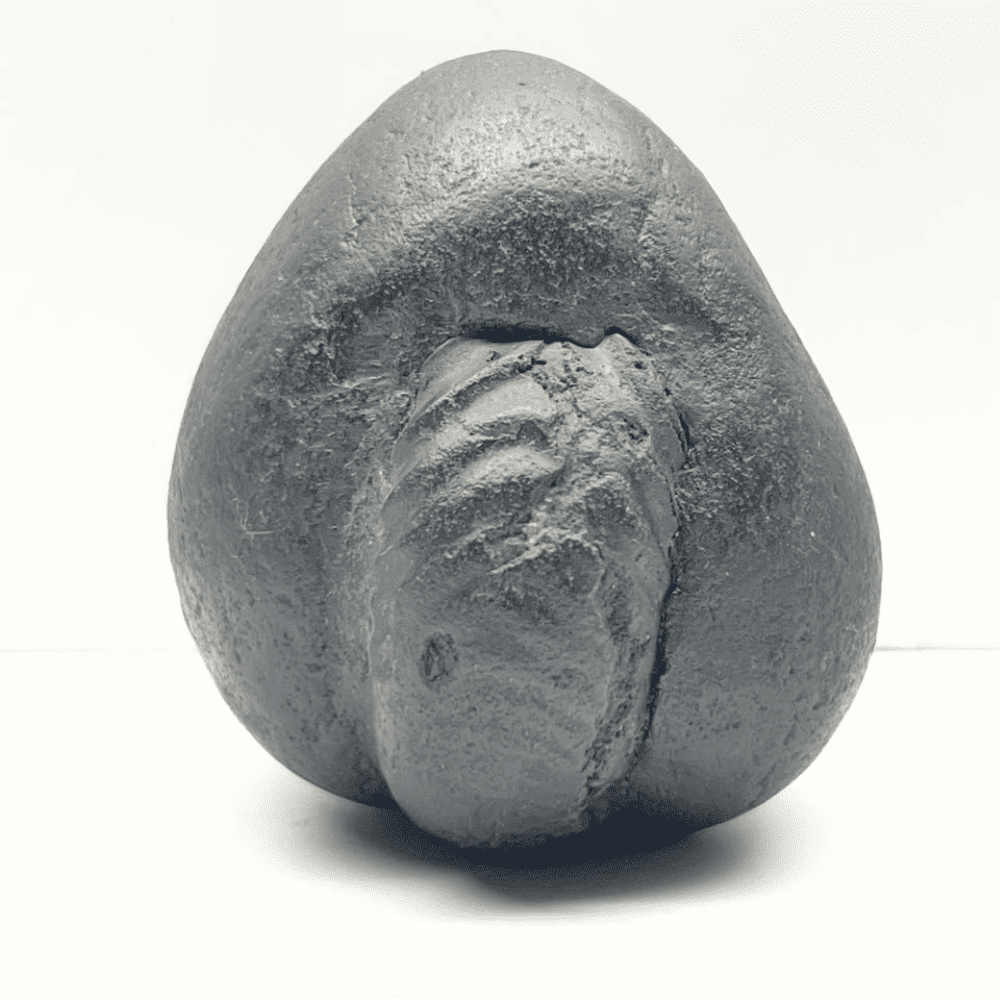 Ganesh Shaligram- G07(2inch/195gm)