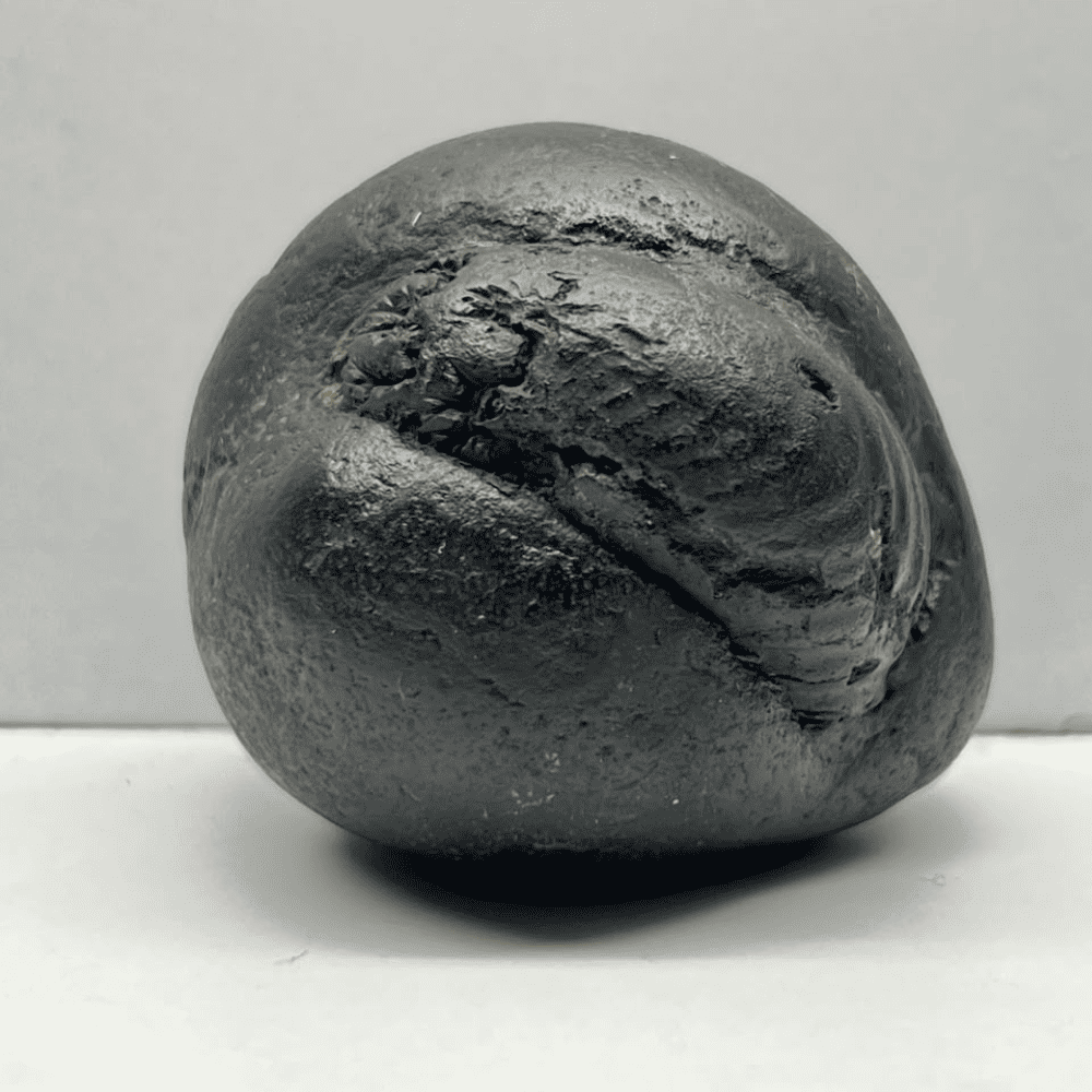Ganesh Shaligram- G07(2inch/195gm)