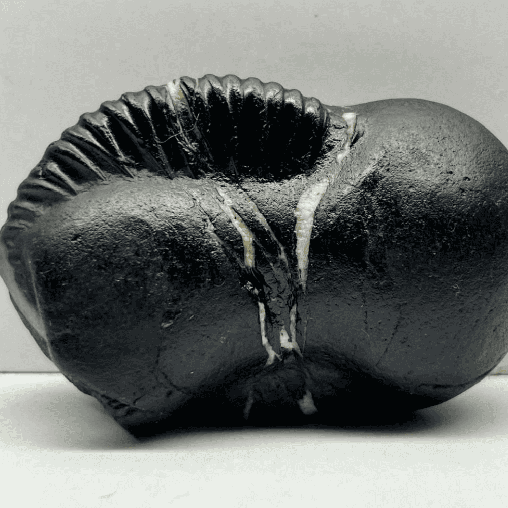 Ganesh Shaligram- G08(3inch/180gm)