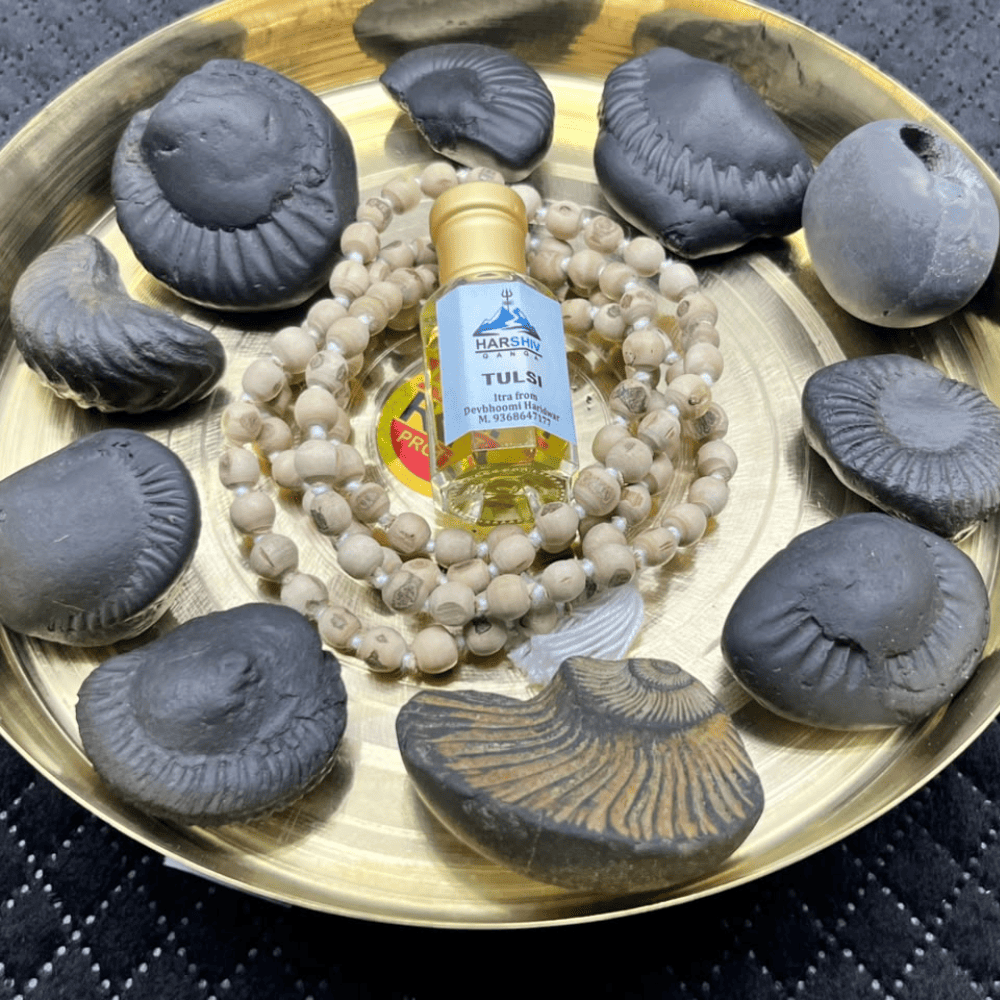 Dashavatar Shaligram Set-Small Size