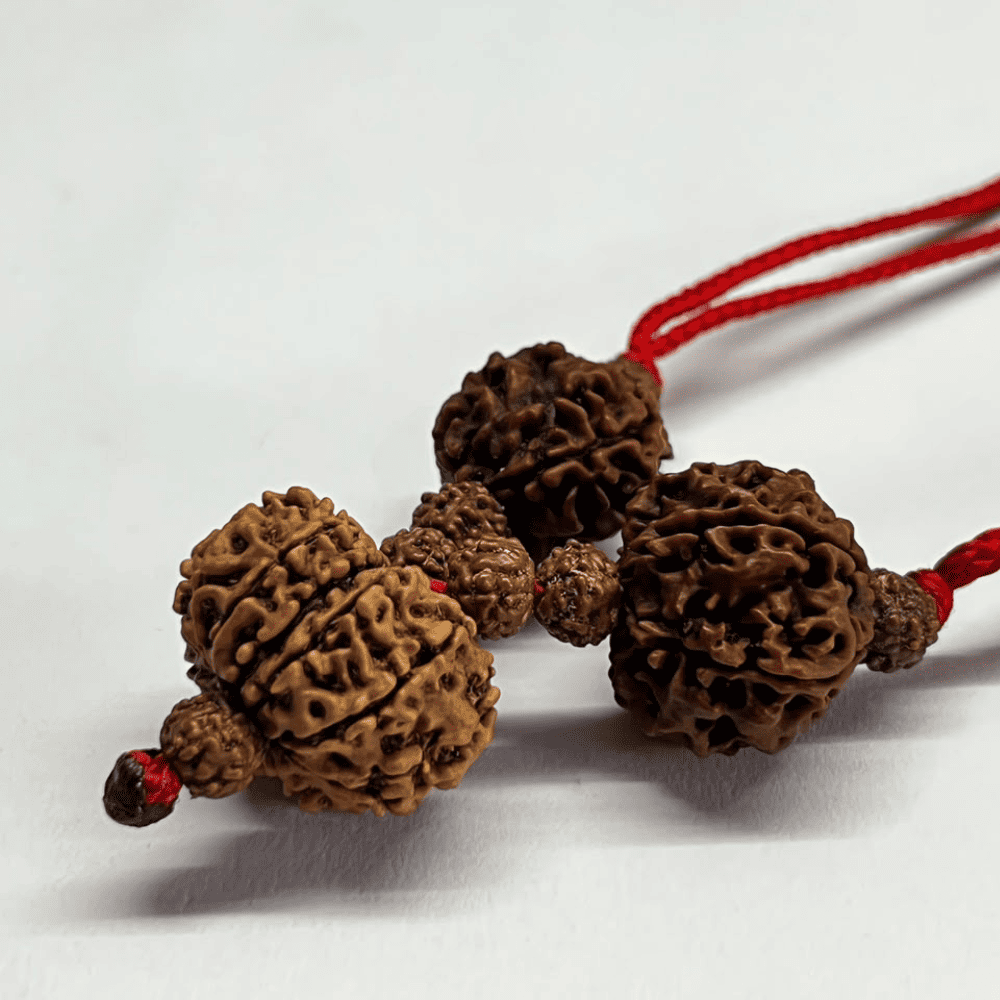Mangal Dosh Nivaran Kavach (3+6+11 Mukhi Rudraksha)