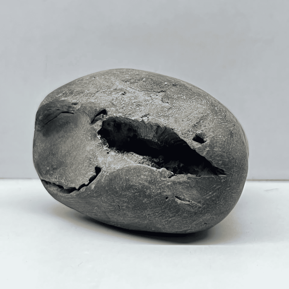 Golden Kurma Shaligram LN117(2inch/110gm)