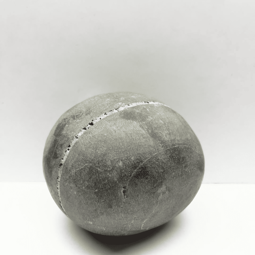 Janeyudhaari Gopal Shaligram (7inch/2030gm)