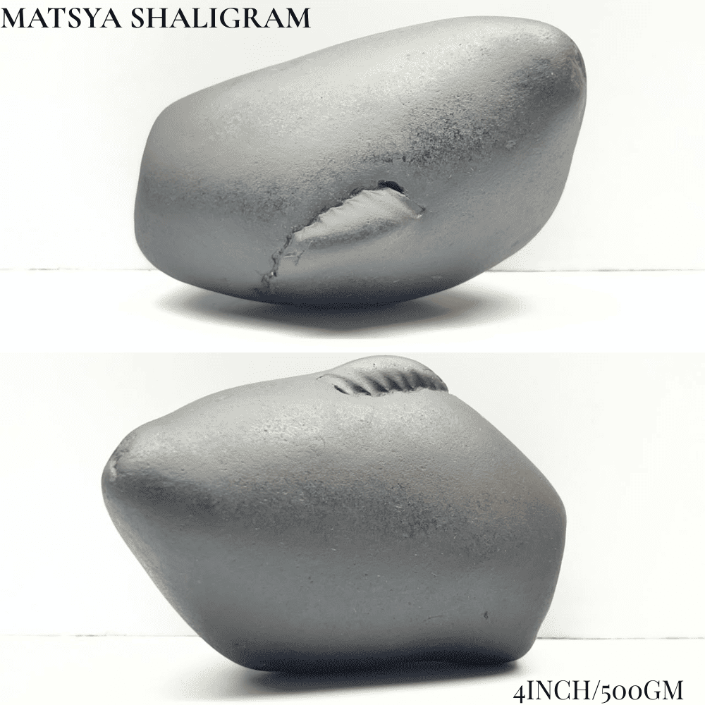Dashavatar Shaligram Set-Big Size