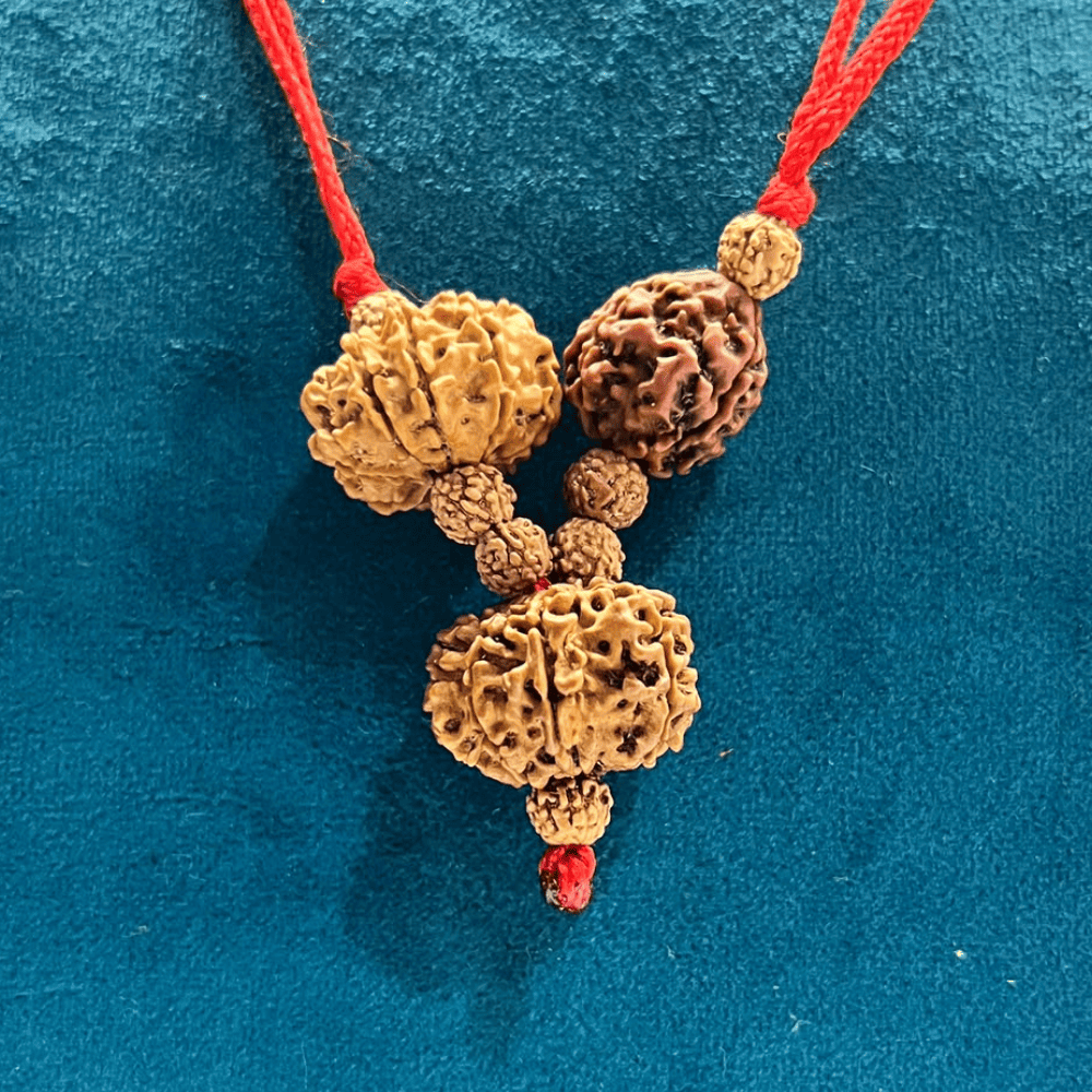 Pitradosh Nivaran Kavach (3+9+10 Mukhi Rudraksha)