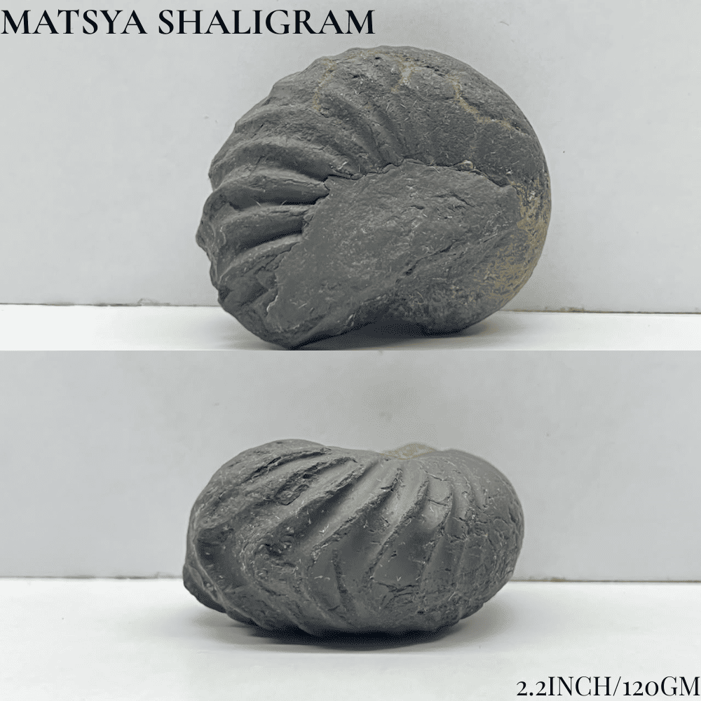 Dashavatar Shaligram Set-Medium Size