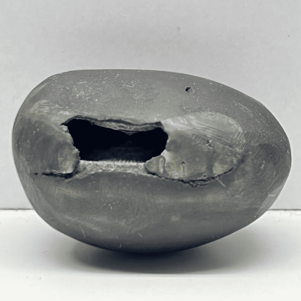 Laxmi Narsimha Shaligram (LN85-1.5INCH/40GM)