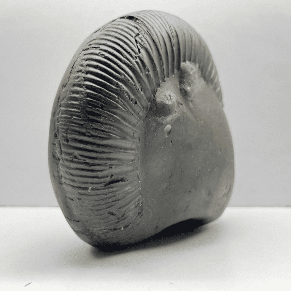 Mahanarsimha Shaligram (7inch/2700gm)