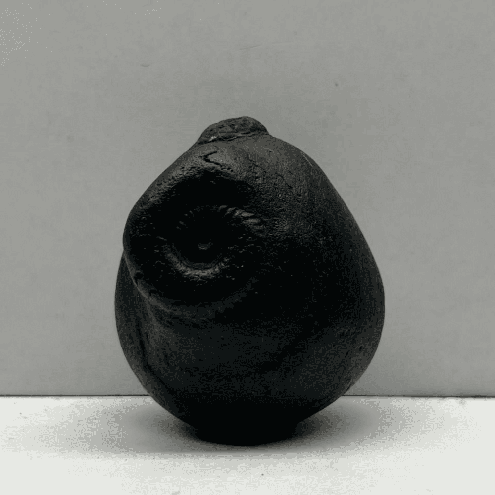 Krishna Govardhan Shaligram