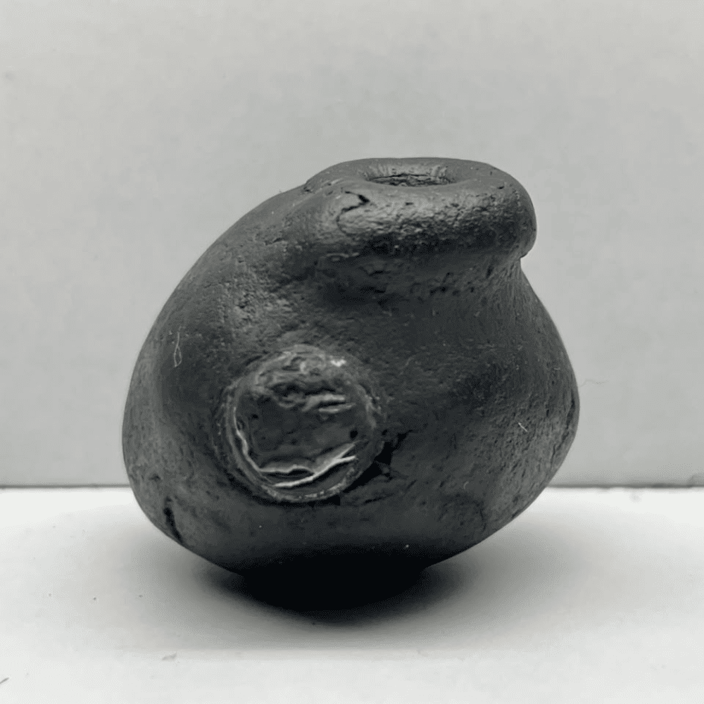 Krishna Govardhan Shaligram