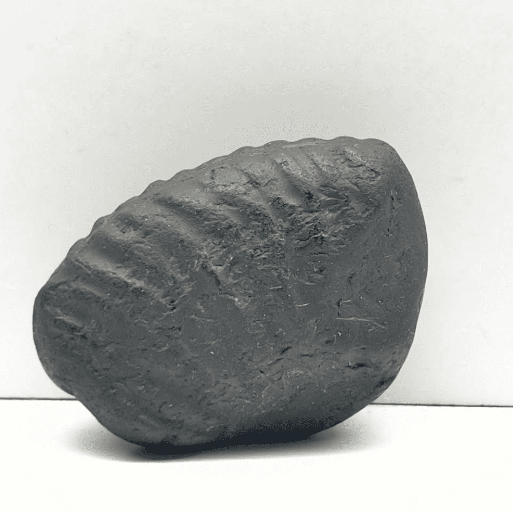 Matsya Shaligram M-01 (2inch/70gm)