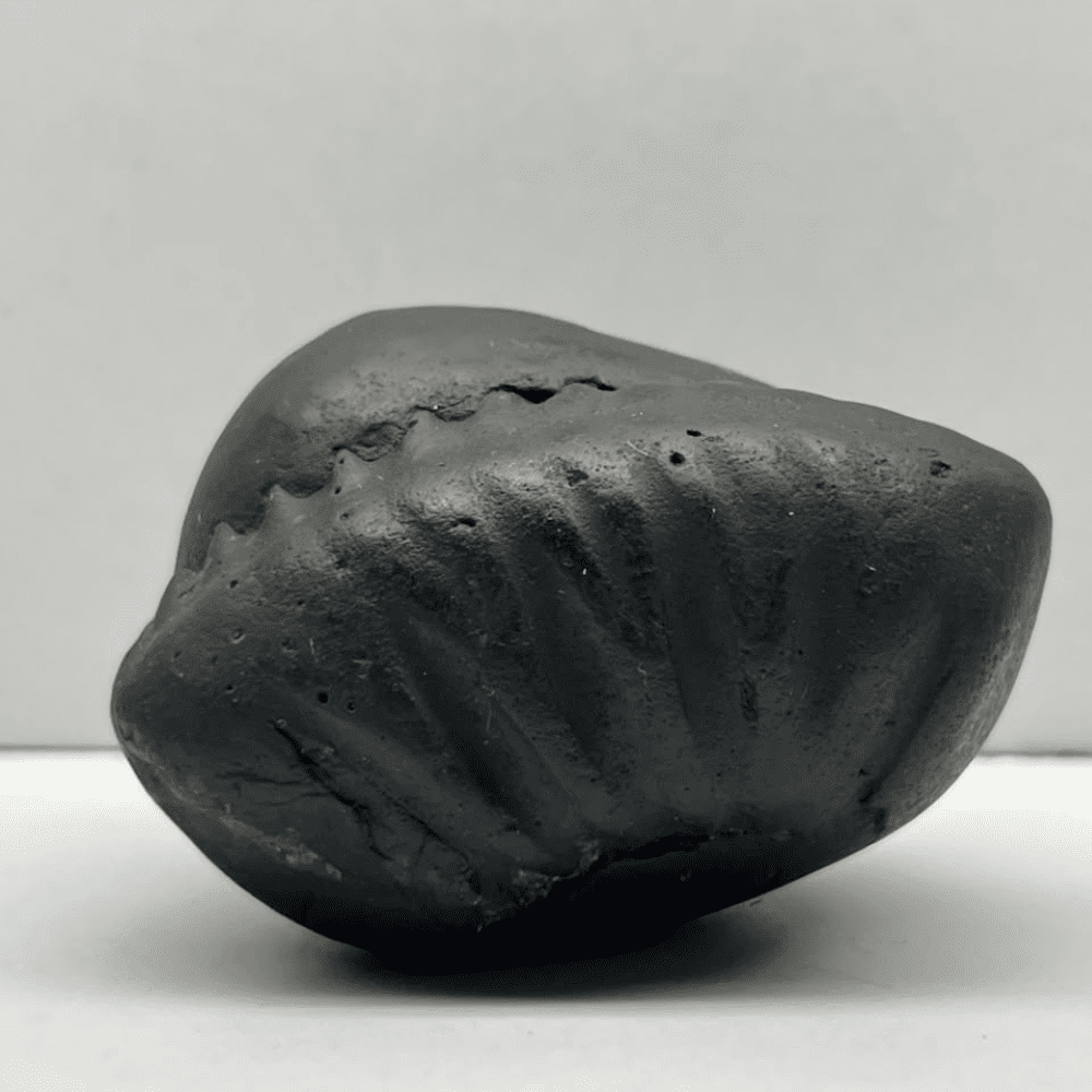 Matsya Shaligram M-02 (2inch/124gm)