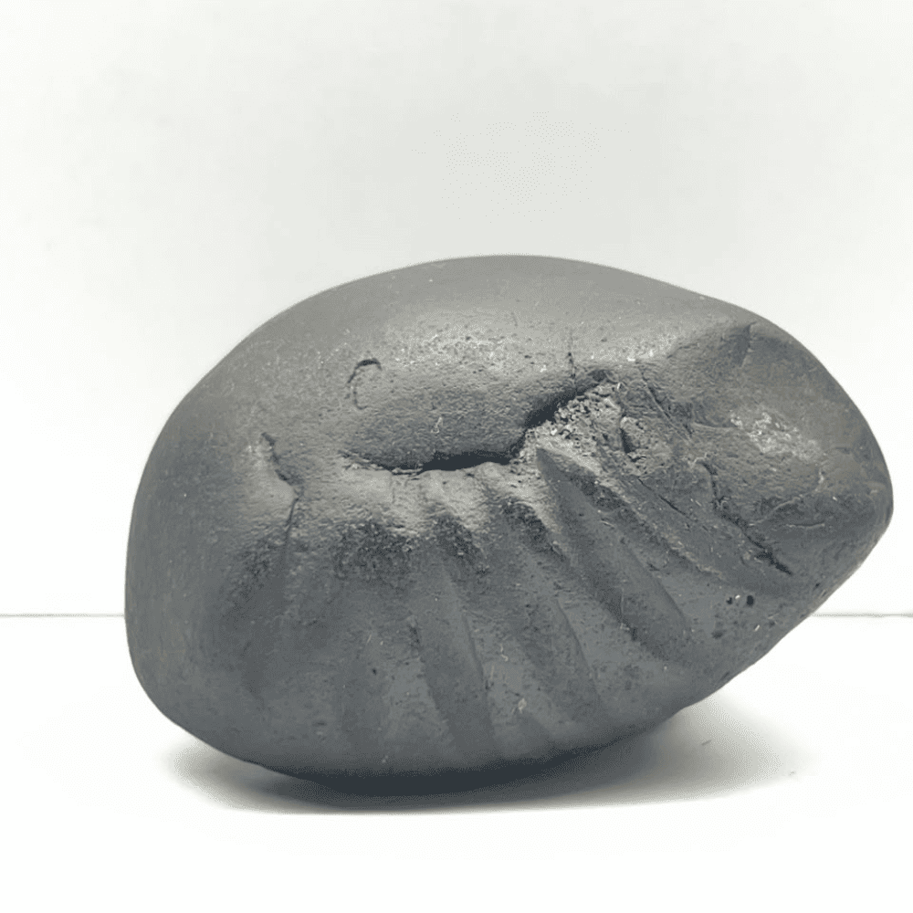 Matsya Shaligram M-02 (2inch/124gm)