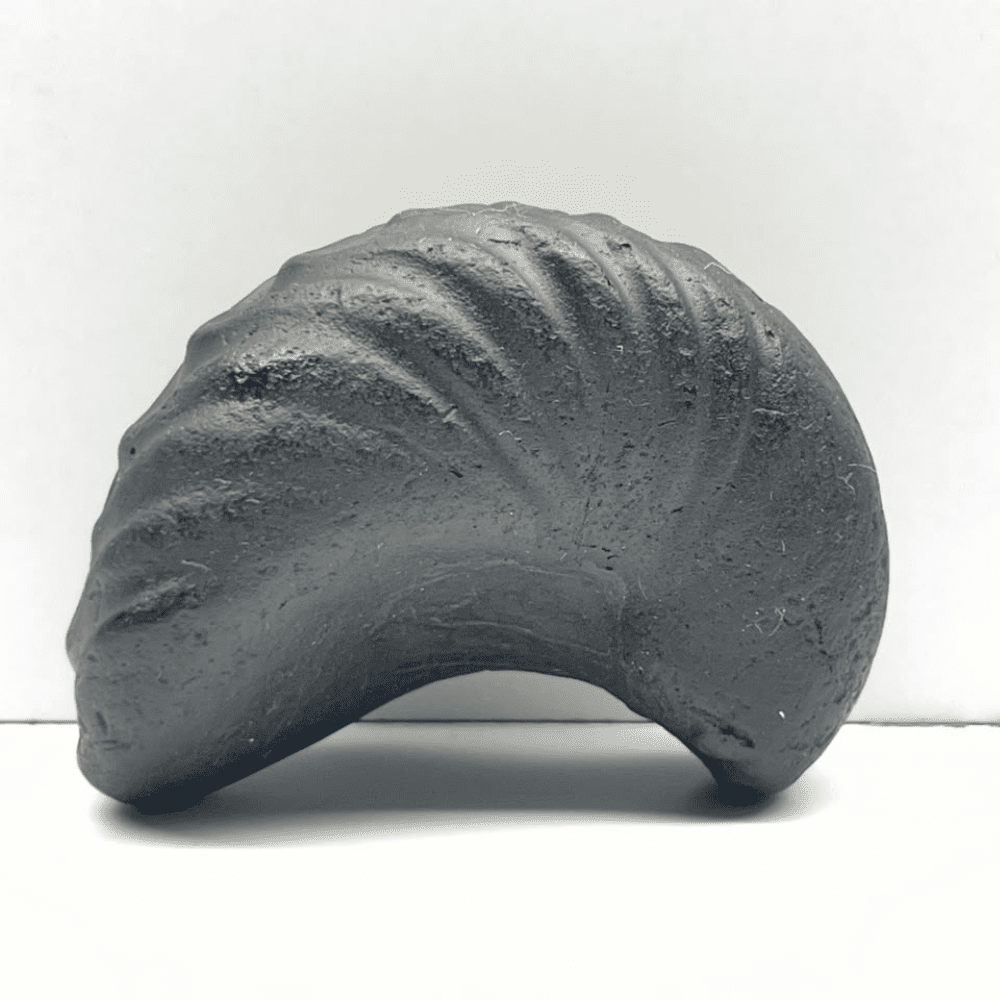 Matsya Shaligram M-03 (2inch/90gm)
