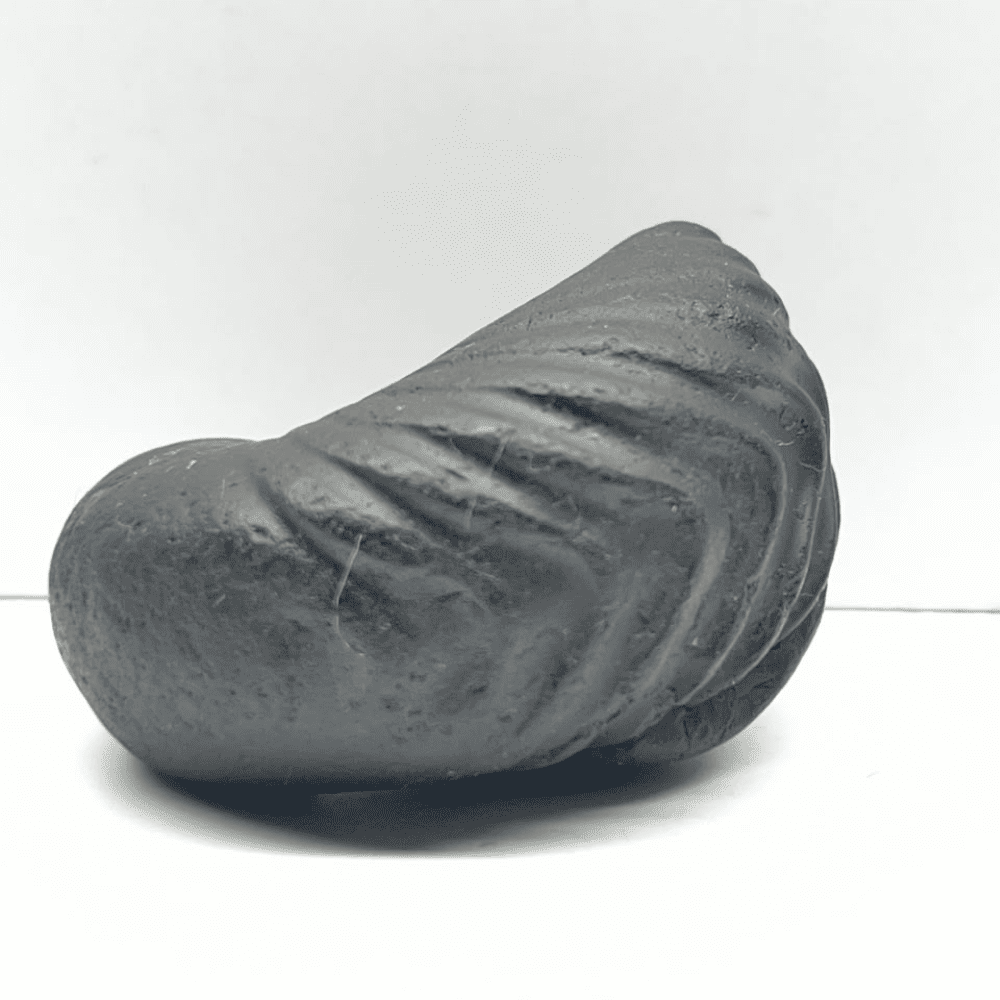 Matsya Shaligram M-03 (2inch/90gm)