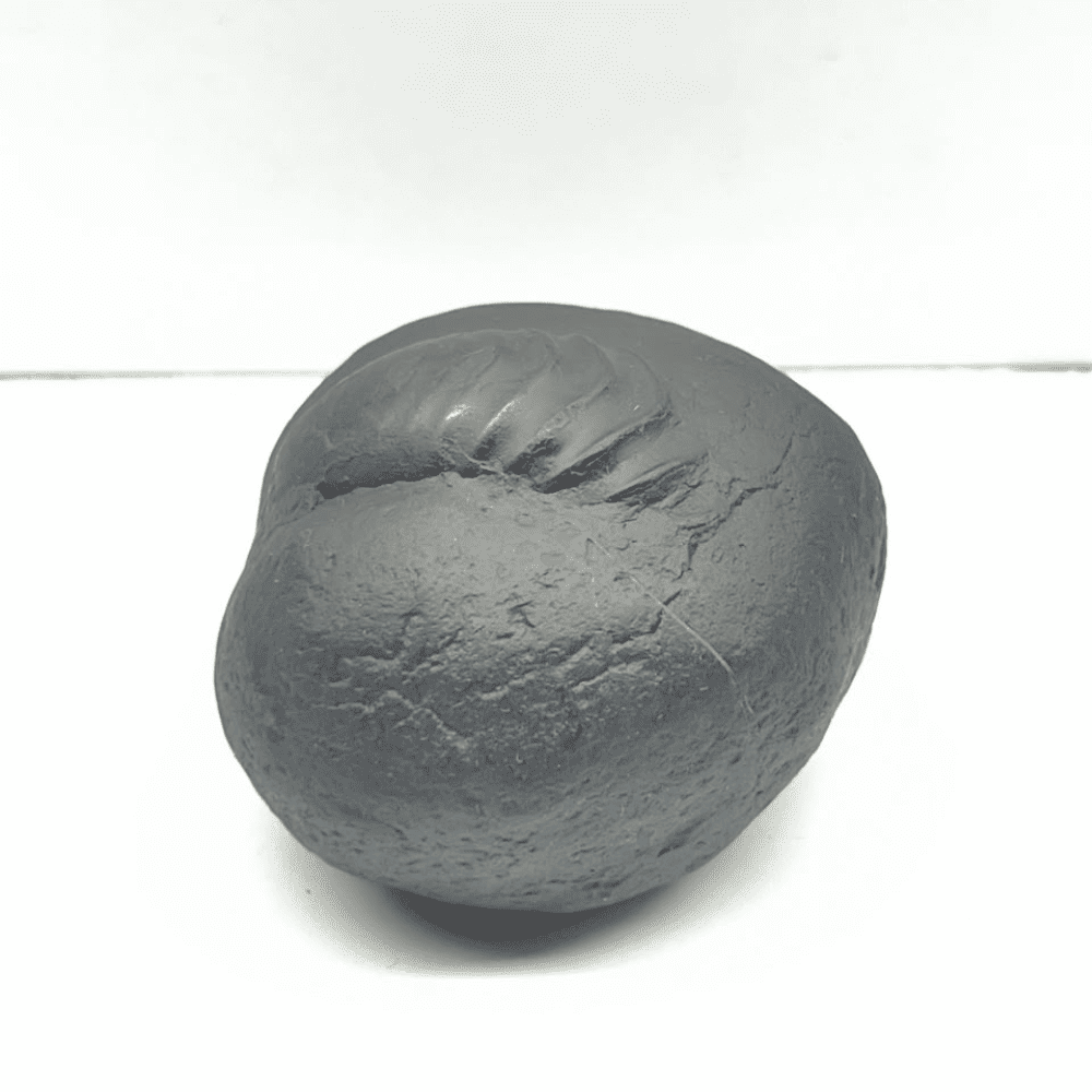 Kurma Shaligram K-01 (2Inch/108gm)