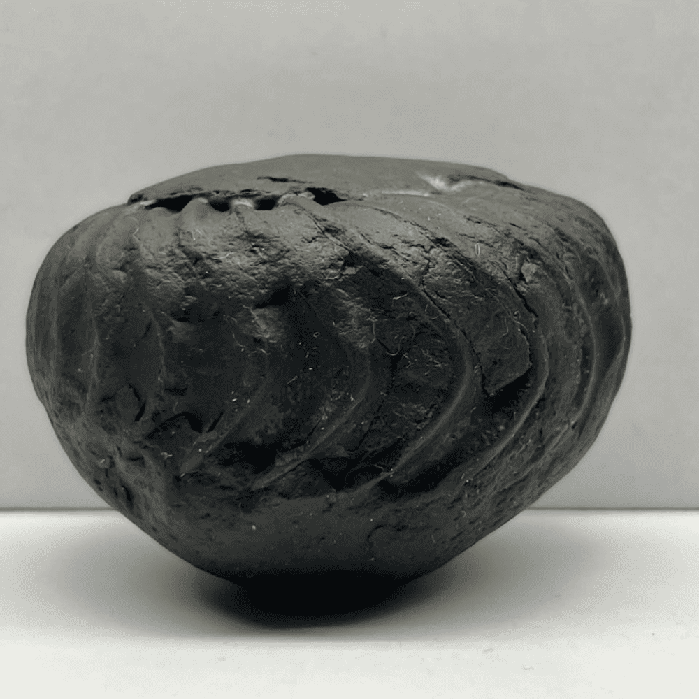 Kurma Shaligram K-02 (3Inch/220gm)