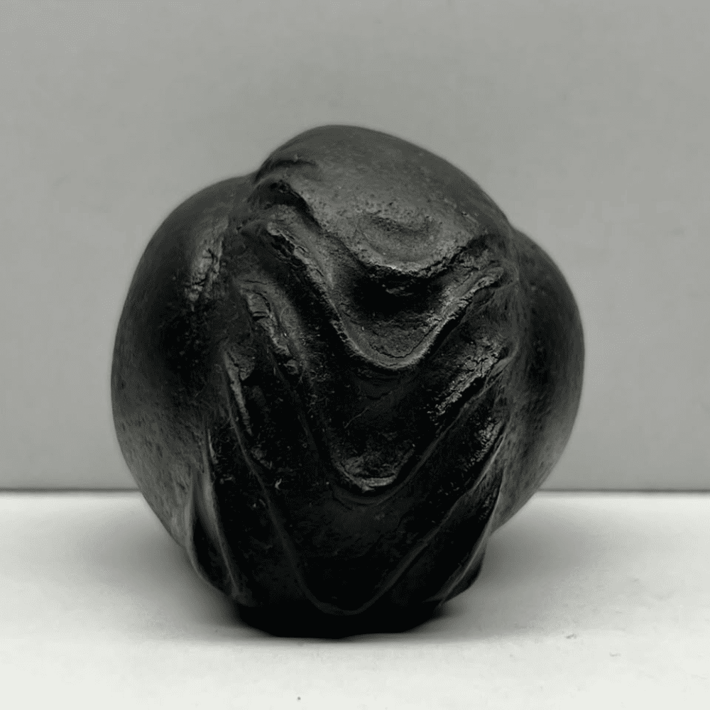 Kurma Shaligram K-03 (3Inch/176gm)