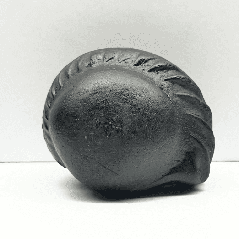 Kurma Shaligram K-03 (3Inch/176gm)