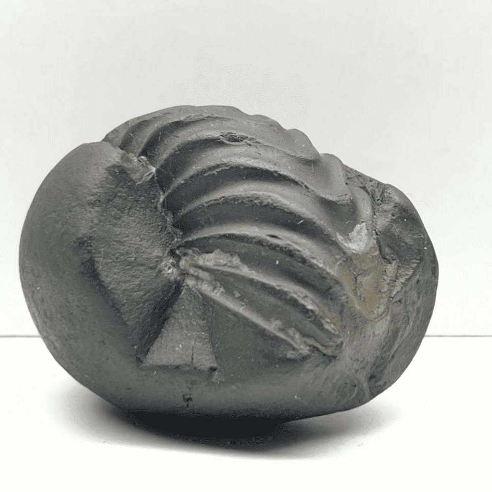 Kurma Shaligram K-04 (3inch/160gm)
