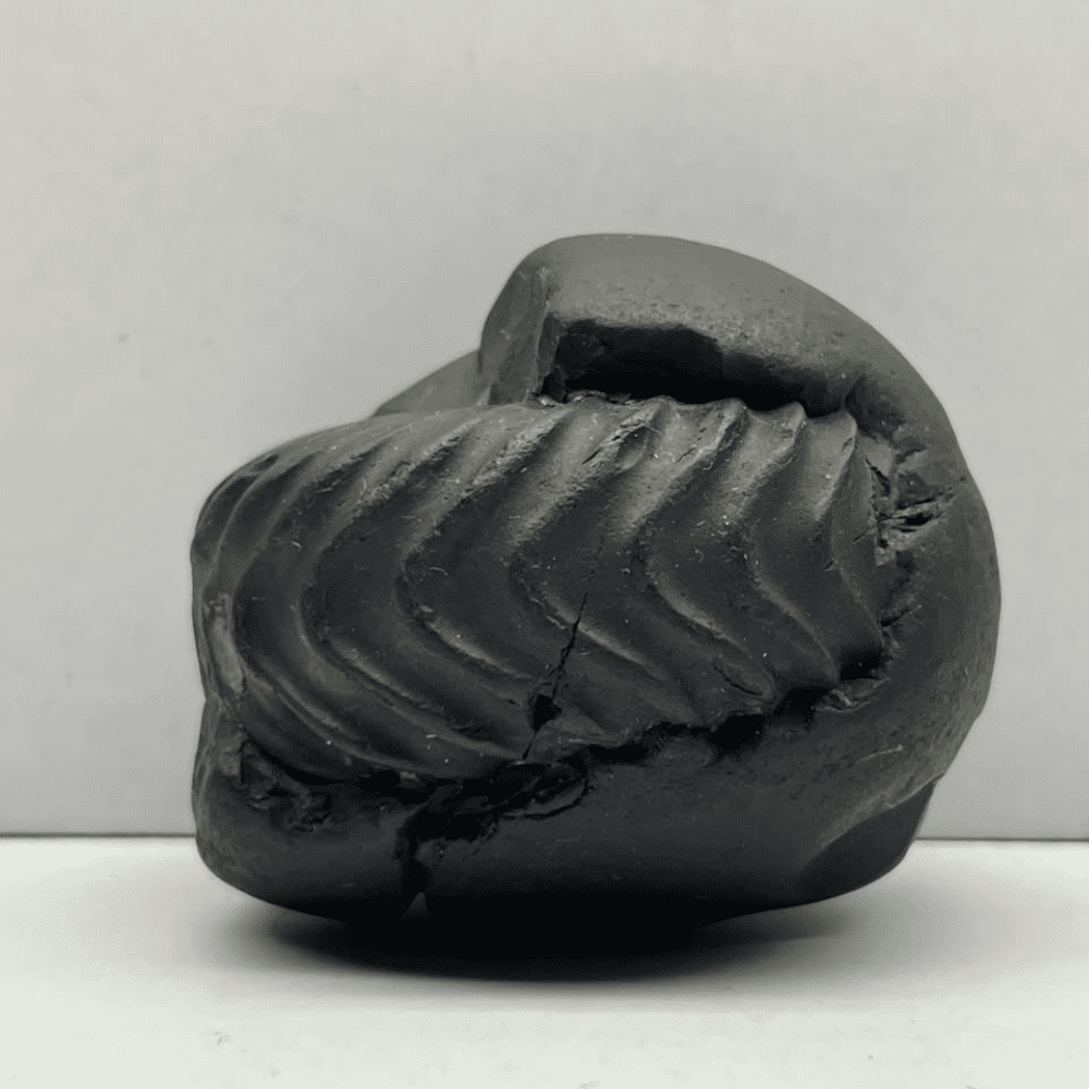 Kurma Shaligram K-04 (3inch/160gm)