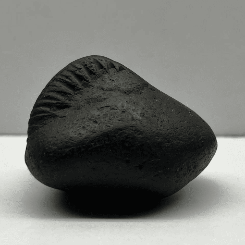 Krishna Govardhan Shaligram (3inch/100gm)