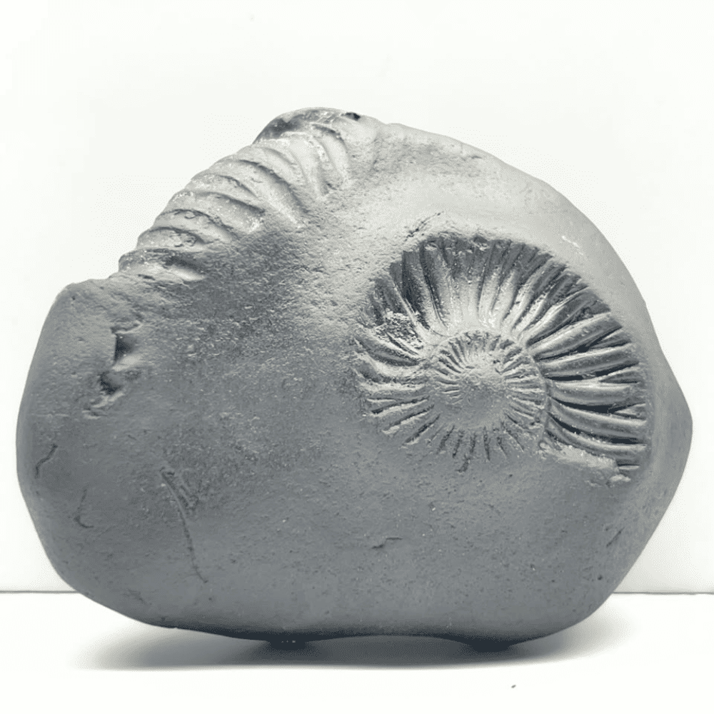 Krishna Sudarshan Shaligram K-11(3inch/280gm)