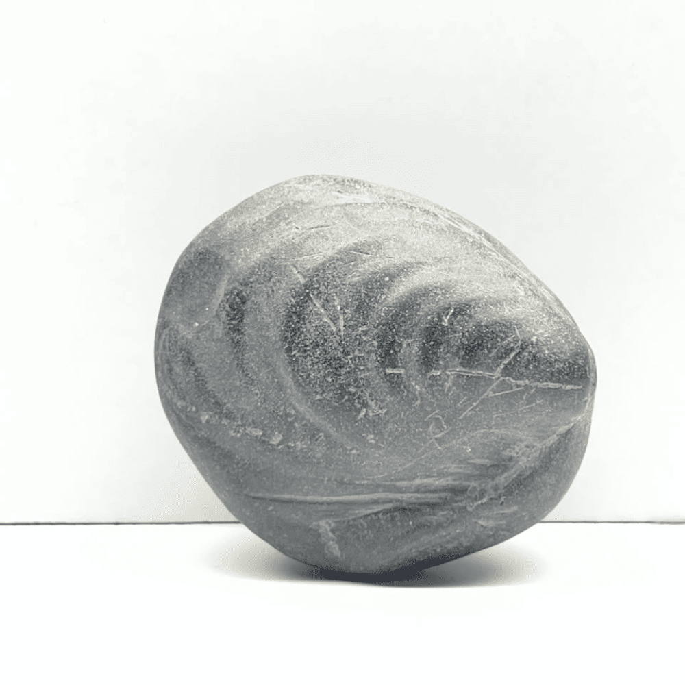 Vamana Shaligram V01(2inch/70gm)