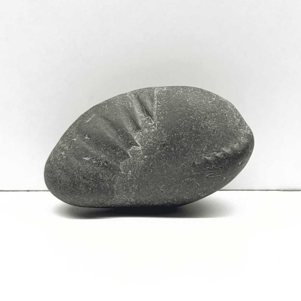 Vamana Shaligram V03(1.5inch/42gm)