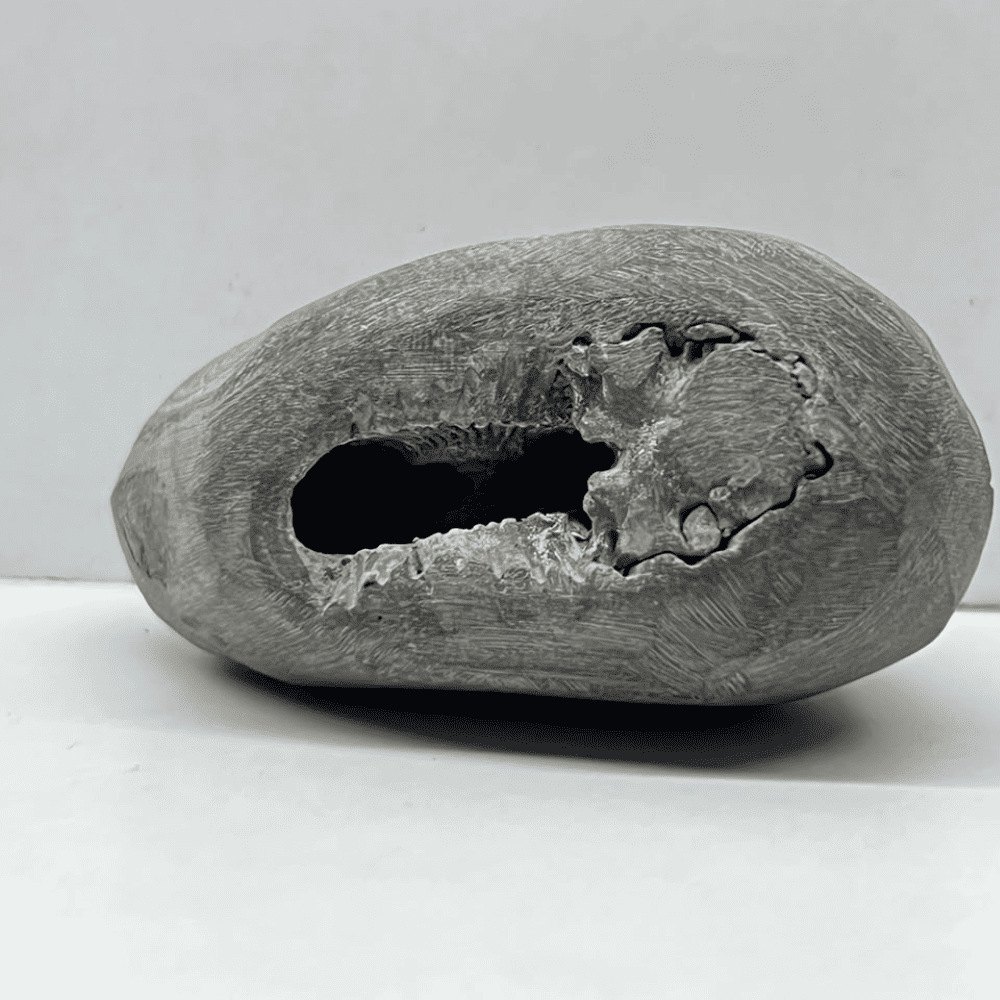 Kurma Laxmi Shaligram LN137(2.5inch/100gm)
