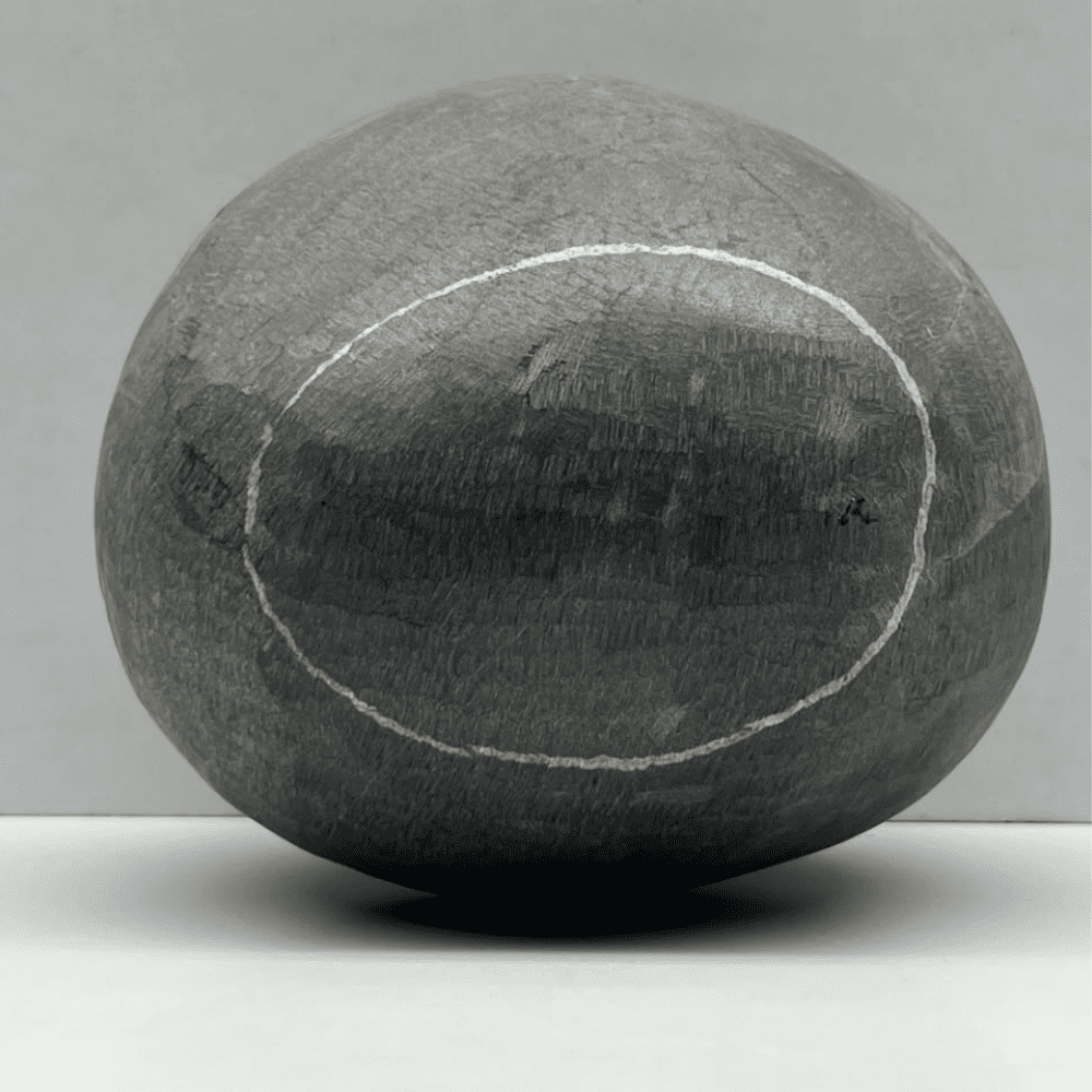 Janeyudhaari Gopal Shaligram (7.5inch/2300gm)