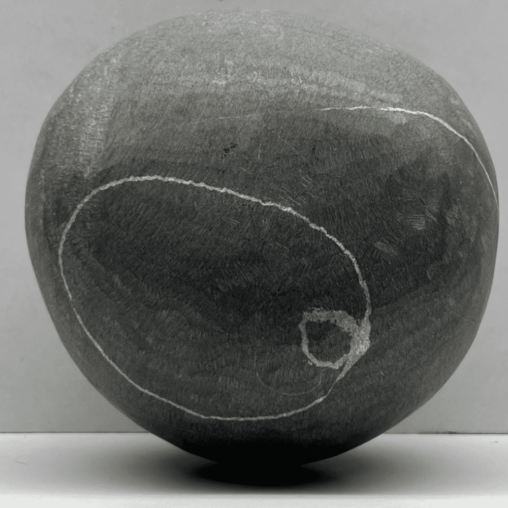 Janeyudhaari Gopal Shaligram (7.5inch/2300gm)