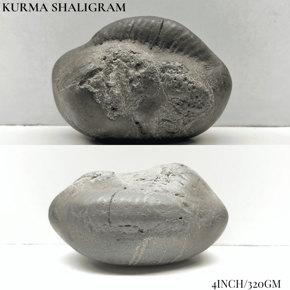 Dashavatar Shaligram Set-Big Size
