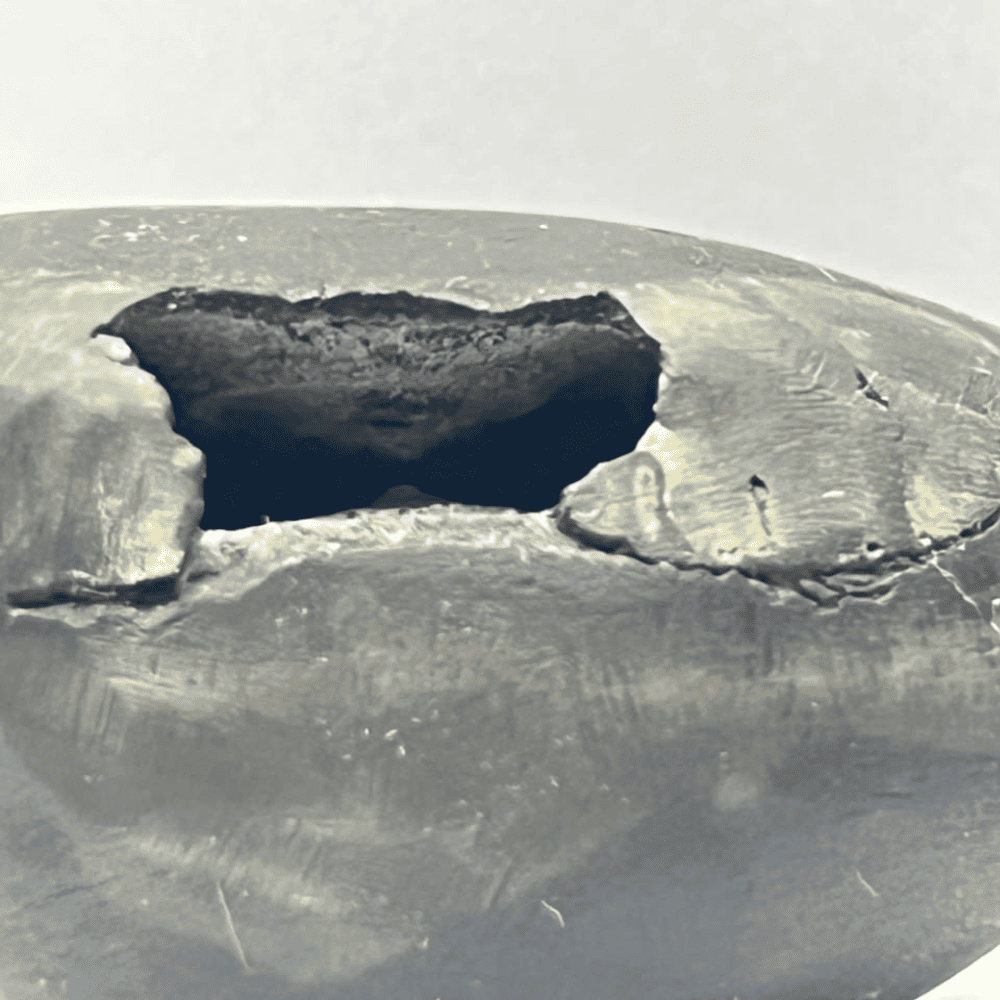 Laxmi Narsimha Shaligram (LN85-1.5INCH/40GM)