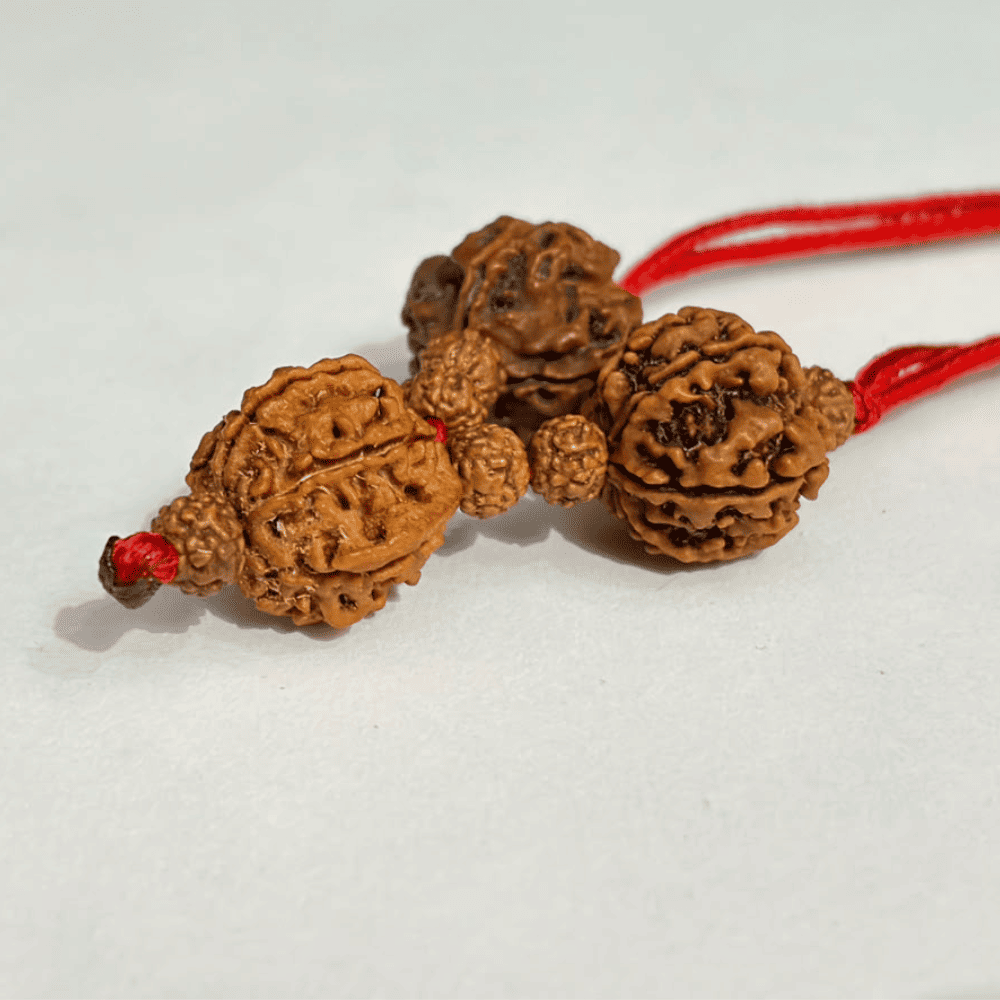 Student Education Kavach (4+6+Ganesh Mukhi Rudraksha)