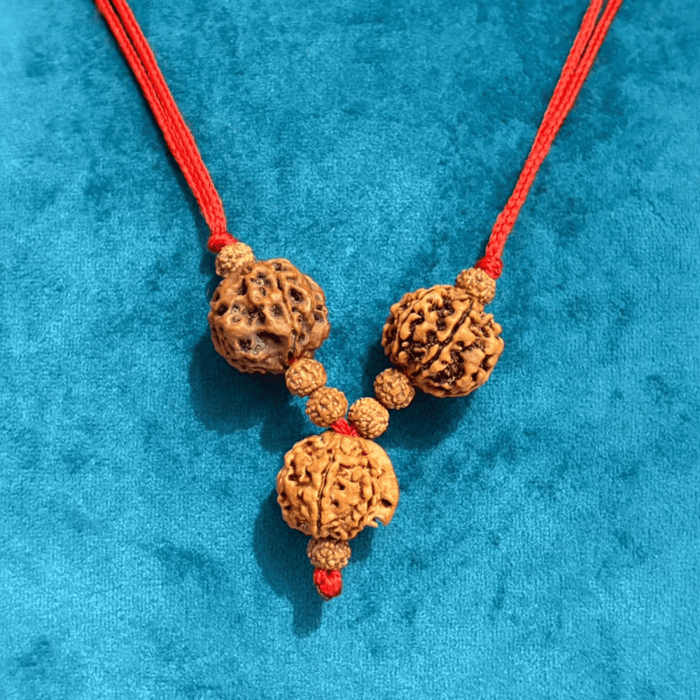 Student Education Kavach (4+6+Ganesh Mukhi Rudraksha)