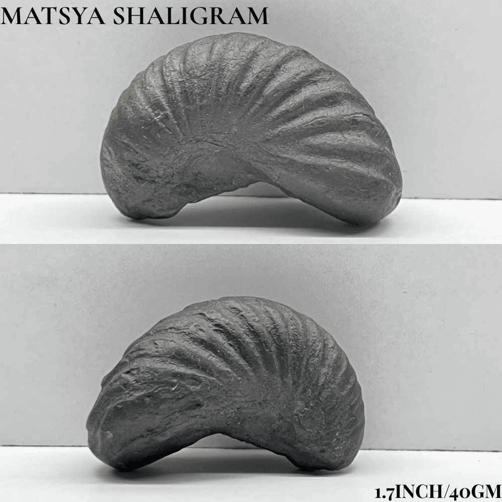 Dashavatar Shaligram Set-Small Size