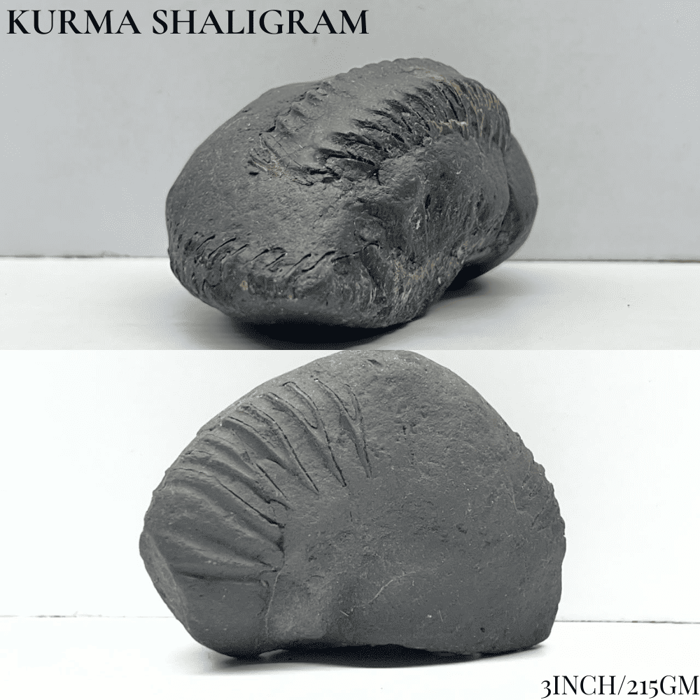 Dashavatar Shaligram Set-Medium Size