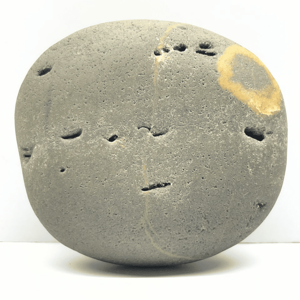 Janeudhaari Ananta Shaligram AN02(400gm/4inch)