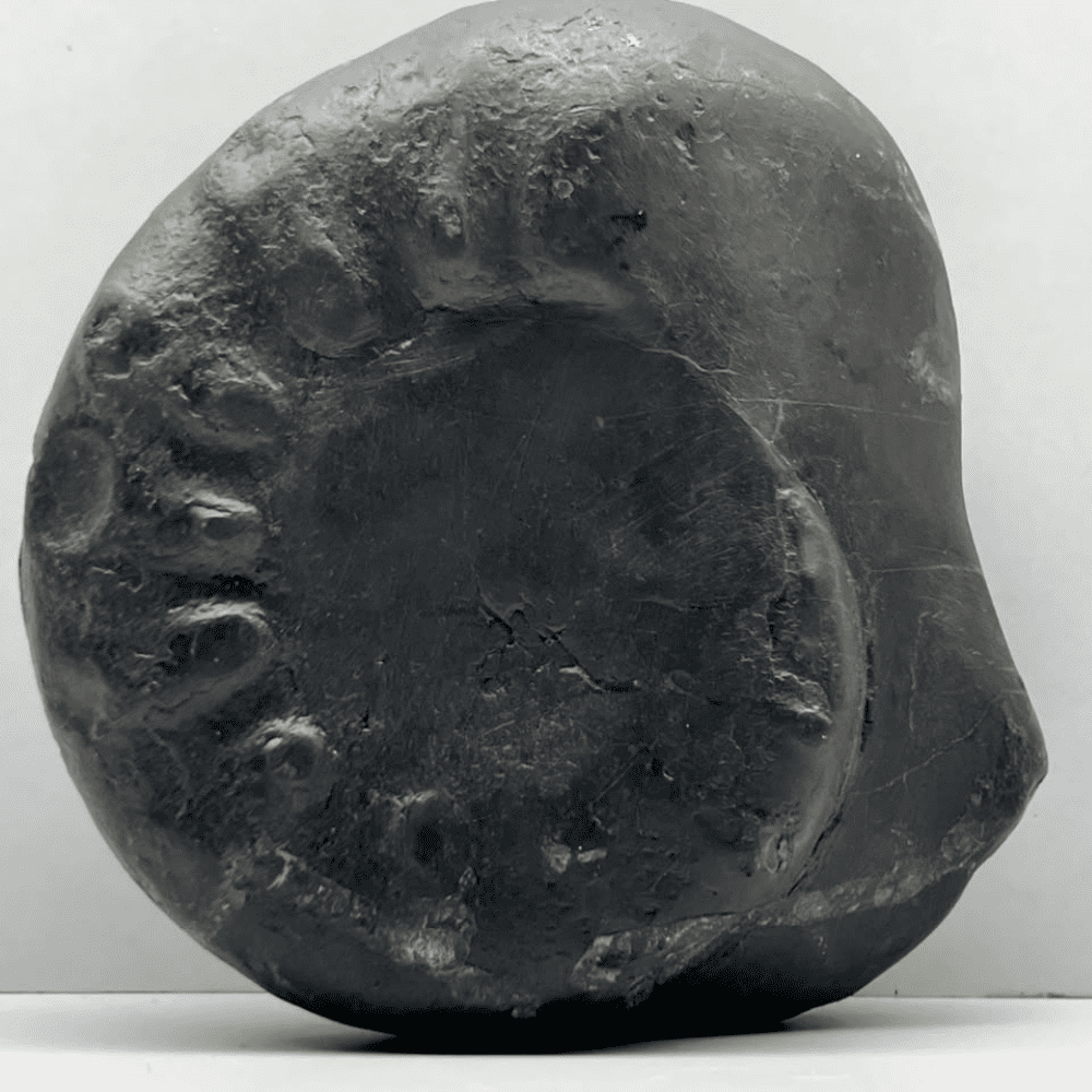 Shaligram Shree Yantra (6inch/1700gm)