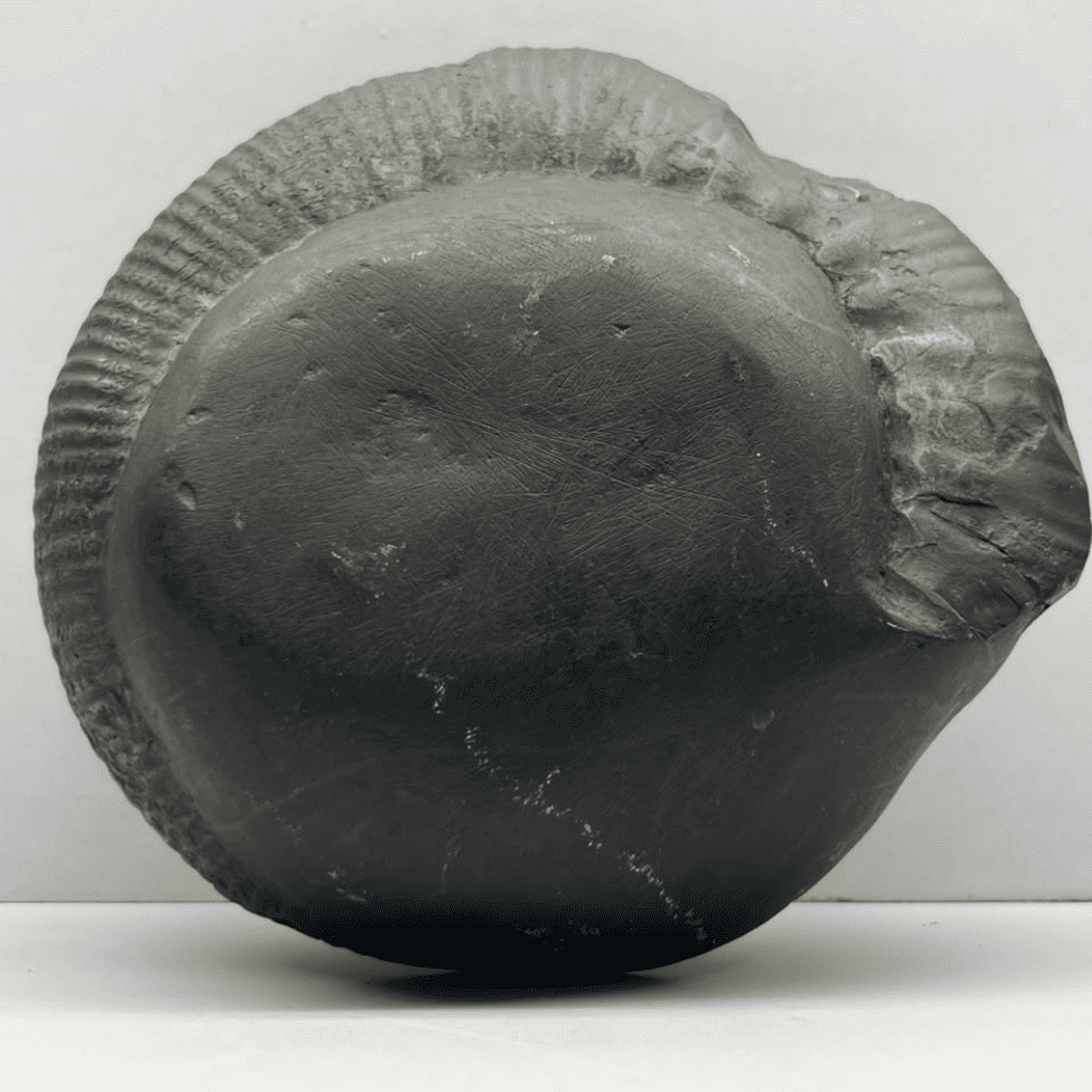 Golden Shaligram Shree Yantra (6Inch/1800gm)