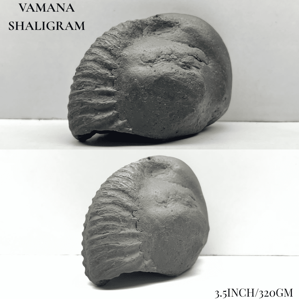 Dashavatar Shaligram Set-Big Size